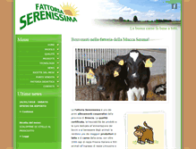 Tablet Screenshot of fattoriaserenissima.com